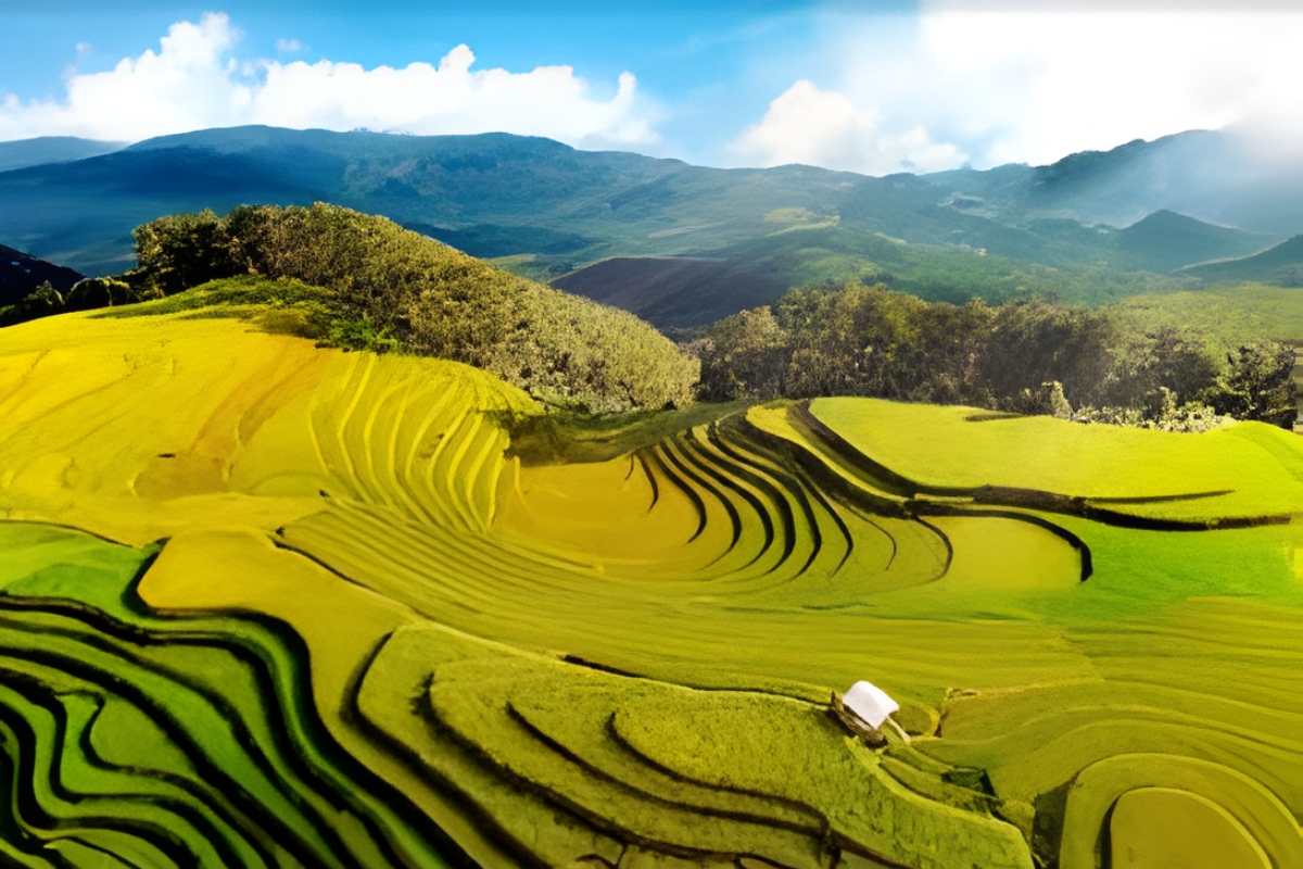 Ban sao cua Blue and White Photo Collage Travel Instagram Post 1200 x 800 px 10