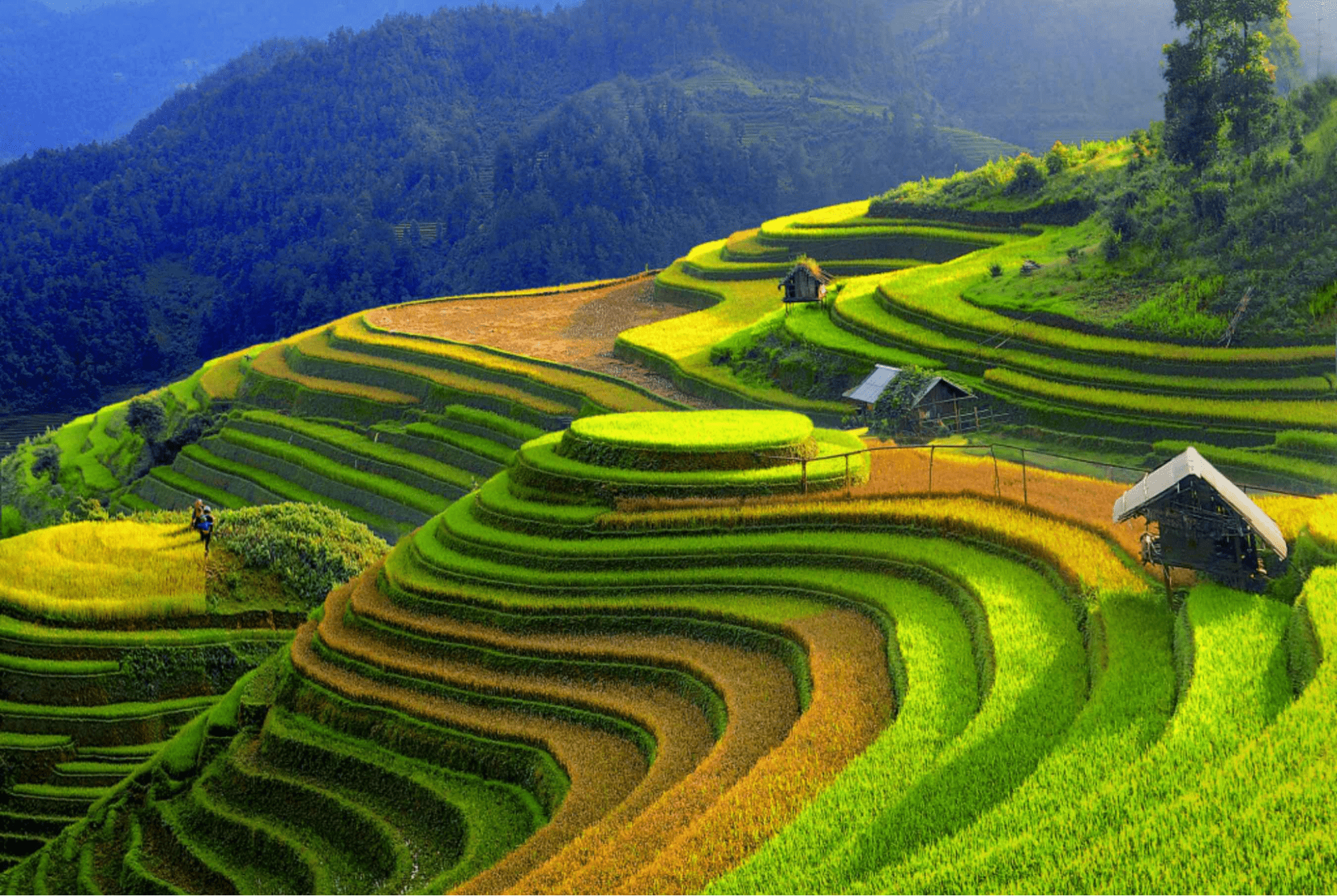 Địa điểm du lịch Yên Bái: Đi đâu, ăn gì, chơi gì từ A đến Z?