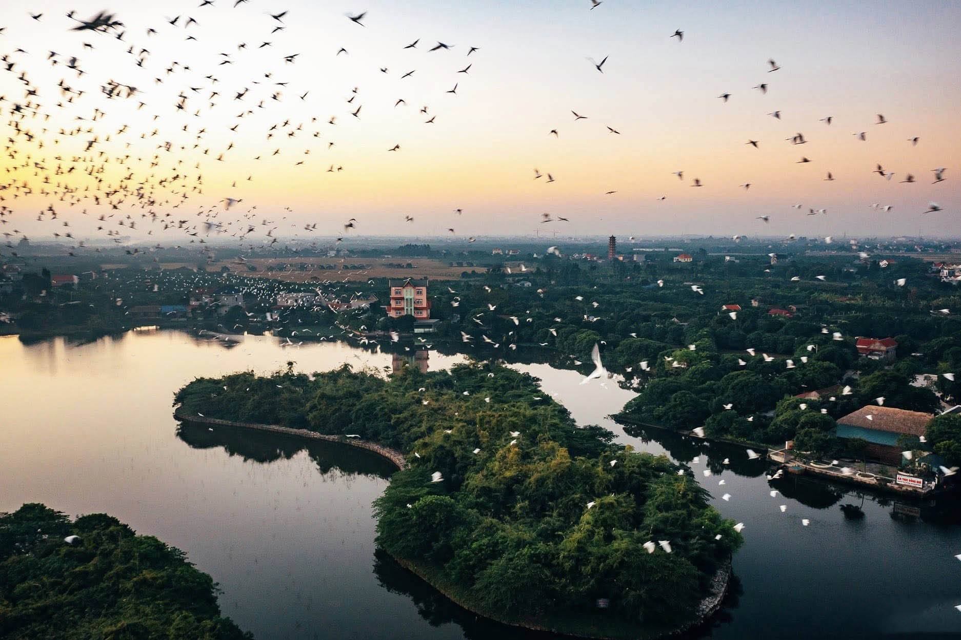 Đảo Cò Chi Lăng Nam: Khu du lịch sinh thái không thể bỏ qua – VinWonders