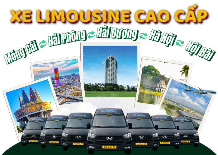 Banner Hai Duong header